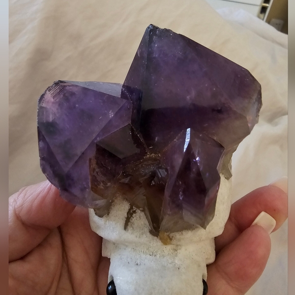 Amethyst 🐢Turtle! 365 grams, 9 x 9 cm (approx.) from head to end of Amethyst🐢 - Picture 9 of 17